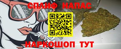 apvp Свободный