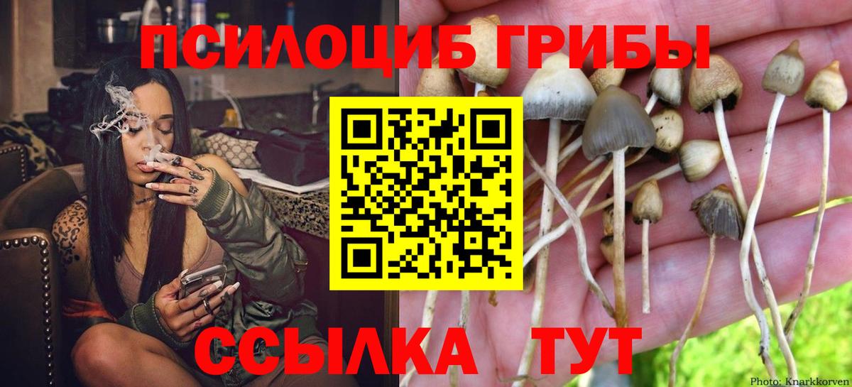 Галлюциногенные грибы Psilocybine cubensis Отрадный